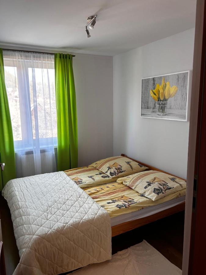 Nad Grajcarkiem Pieniny Apartment Szczawnica Exterior photo